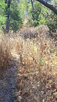 365 Hari Dubur - Hari 191 Yang Tidak Pernah Dirakam oleh teman lelakinya Memberikan Pantatnya Di Dalam Hutan - Pengembaraan Akauner