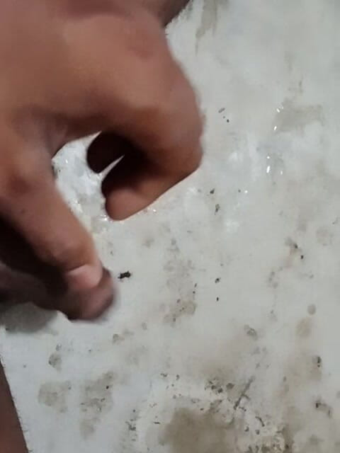 I love sex 24: Rollenspel in Bangladesh