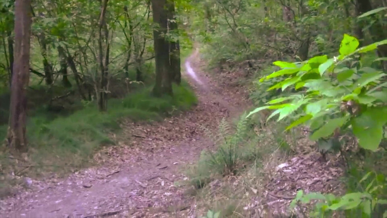 BELLOeBIOTTO: Красивый и длинный камшот, без рубашки, в общественном лесу