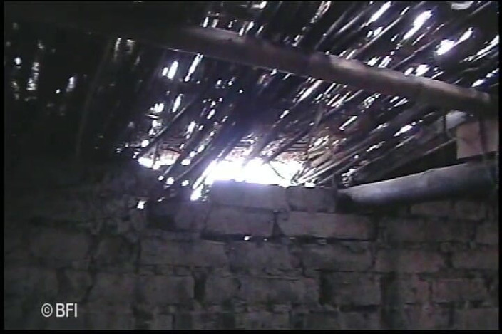 Latina Lovelies: Latino digital latinos Fogosas