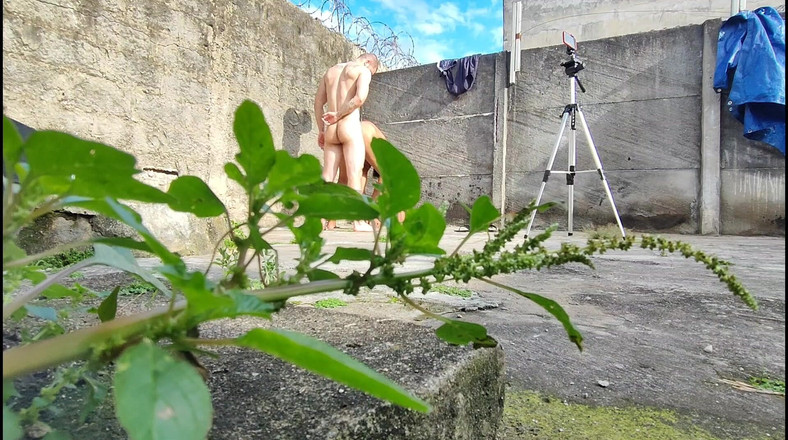 carmonaoficial: जंगल में कैमरा फिल्मों दो विषम कमबख्त