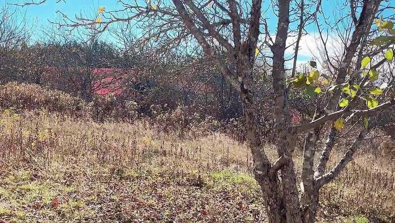 sweethanajapanese: Chcaní kundičky v chladném počasí Venku