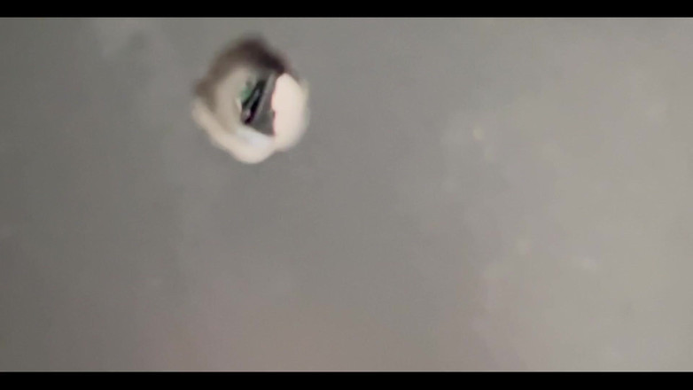 Ksanchez1203: Urs în croazieră