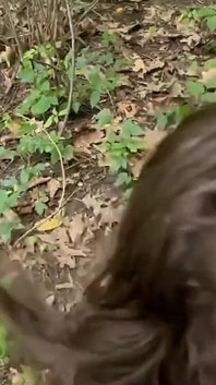 Into the Woods with a Skank a Creampie for a Jackson