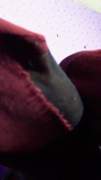 Silky Stockings Sniffing Slave