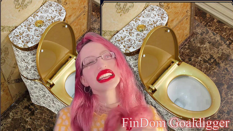 FinDom Goaldigger: Toilet cleaner servant transformation!