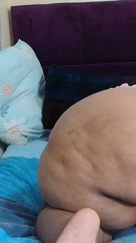 BBW Nut Buster