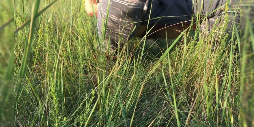 Miodelka: 在大自然外面撒尿的危险汇编