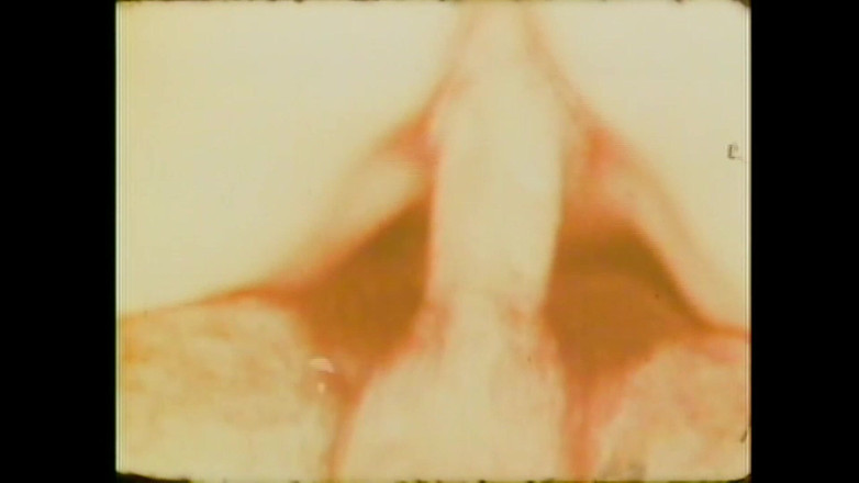 Vintage Megastore Full hd: Candida Royalle Con lợn mút vòi nước