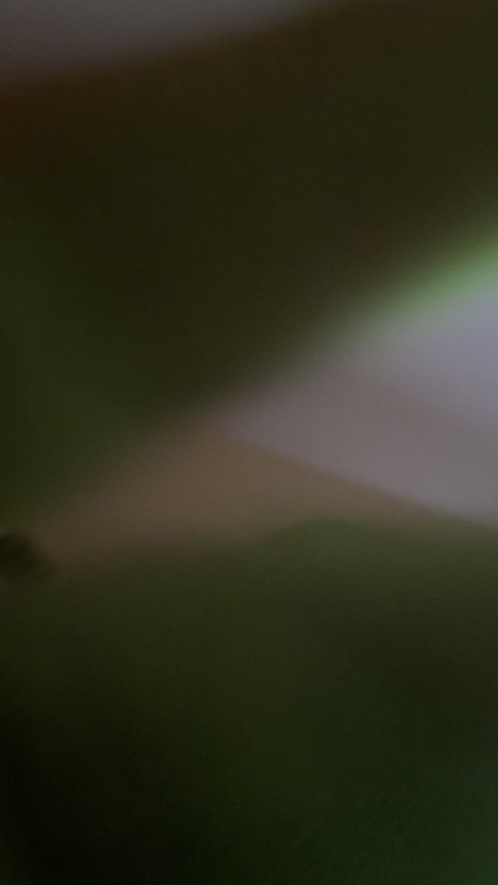 Ddub: Halle ball sâu trên 12"