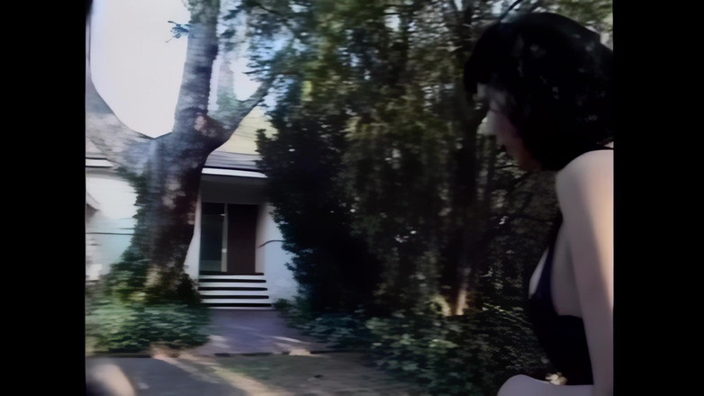 Shemale Vintage MegaStore: O transsexuală dominantă își fute curva supusă fără milă