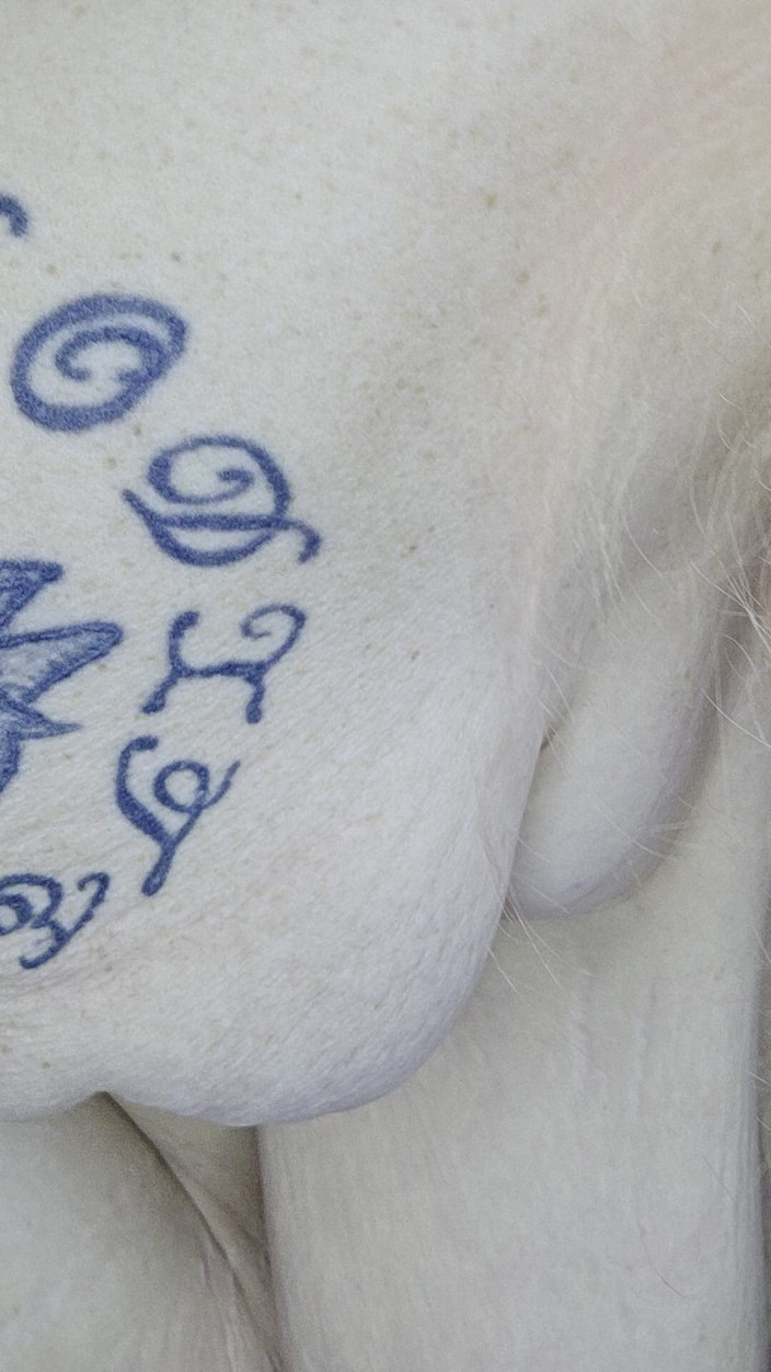 HerculesnVENUS: Sgrilletta la figa e sborra