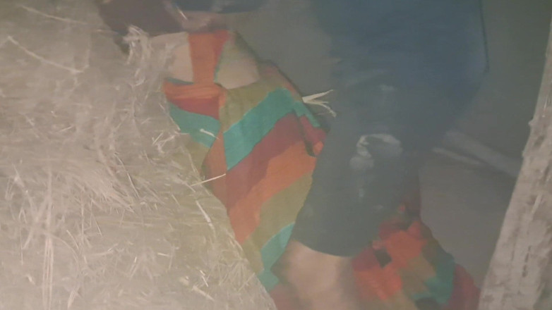 Trilokinath: Роман сватти тетушки с пареньком-йогом - романтическая Телугу