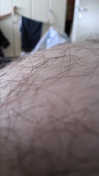 Camera Flight Over the Bear's Hairy Belly