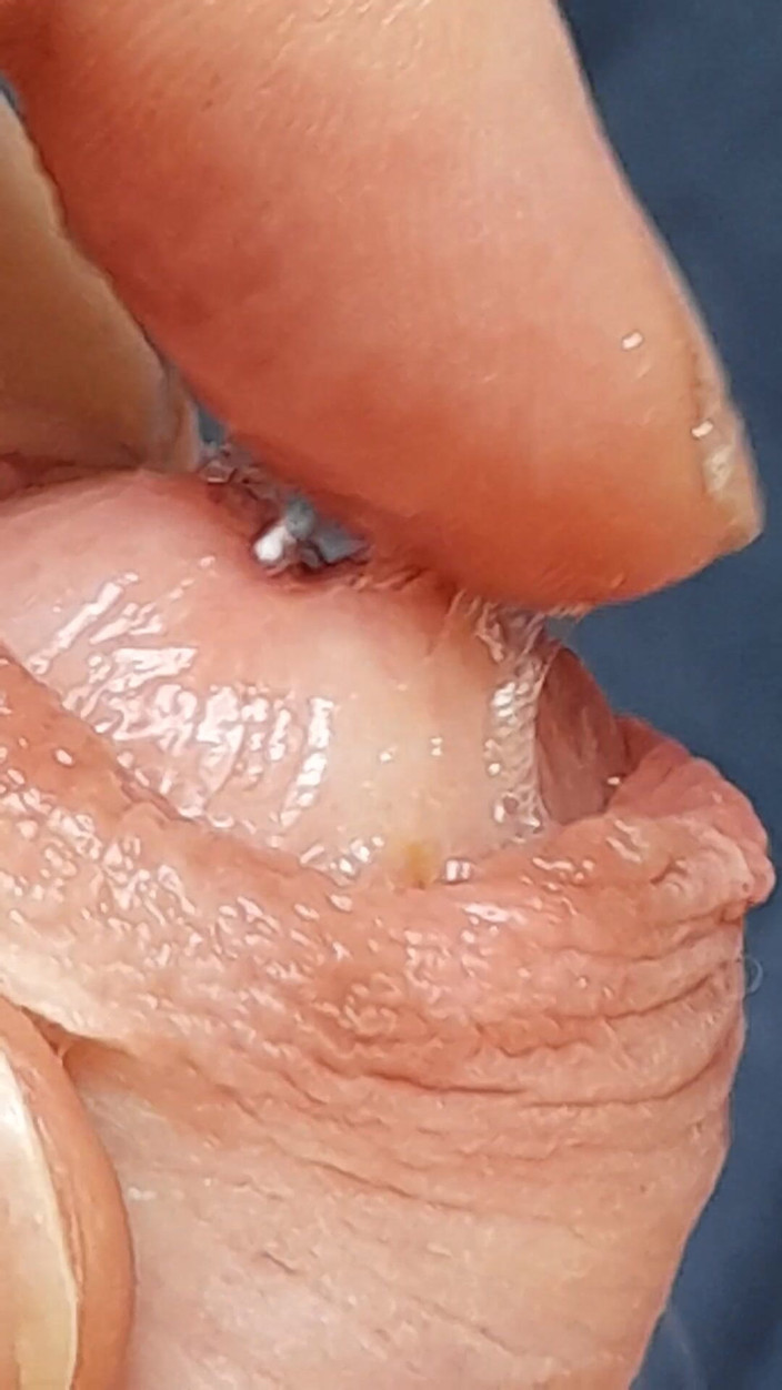 Swedish_switcher: プリカムプレイ