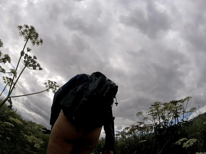 Andy: Прогулка 42 2025