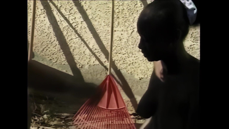 The Africans: 내 질의 어리석음 (영화)