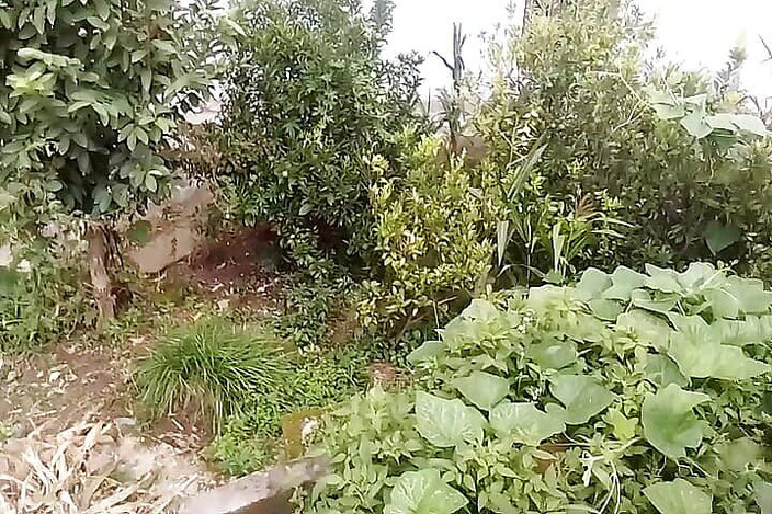 Gangbang straight: Nirmal Sir के घर पर, मैंने अपनी पत्नी को उसकी गांड चोदते हुए देखने के बाद चुपके से हस्तमैथुन किया और पेशाब किया