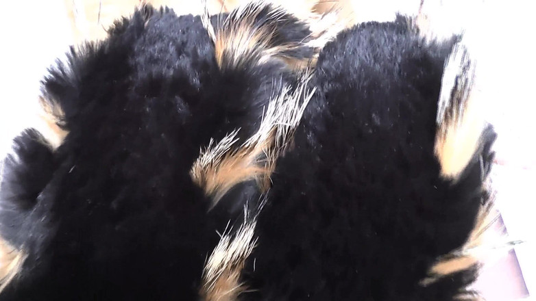 Lady Victoria Valente: Entraînement à l’éjaculation : renifler une écharpe en fourrure et un sperme, Lady...