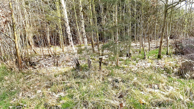 Bouncy Tits Action: सीढ़ी पर स्तन लाल थप्पड़ मारा