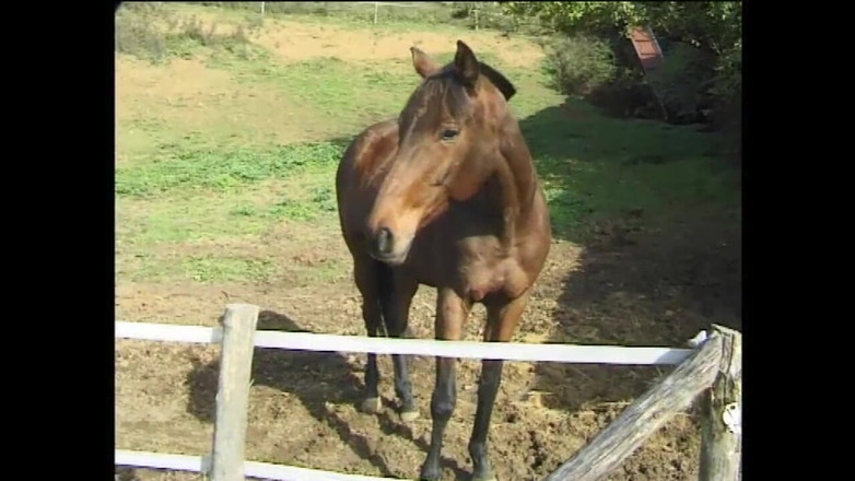 Little World: 2人のセクシーな熟女の尻が2人の巨根で小さなおっぱいに犯され、射精されました