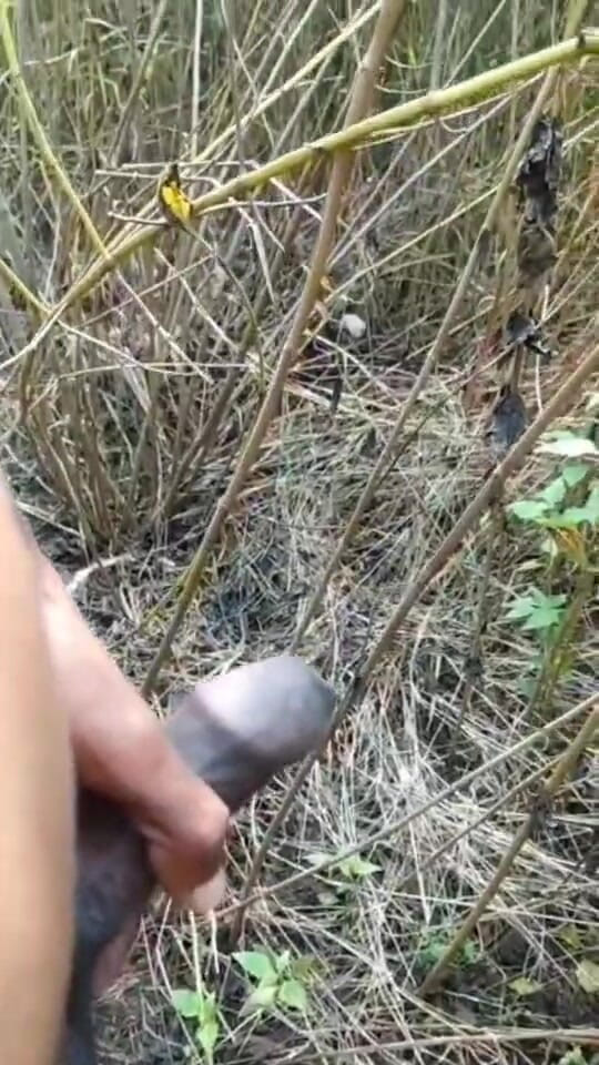 Desi Tits: Outdoor Cumshot Complaition in Jungle