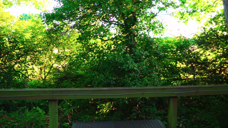 JessieHH: 与继母免费度假