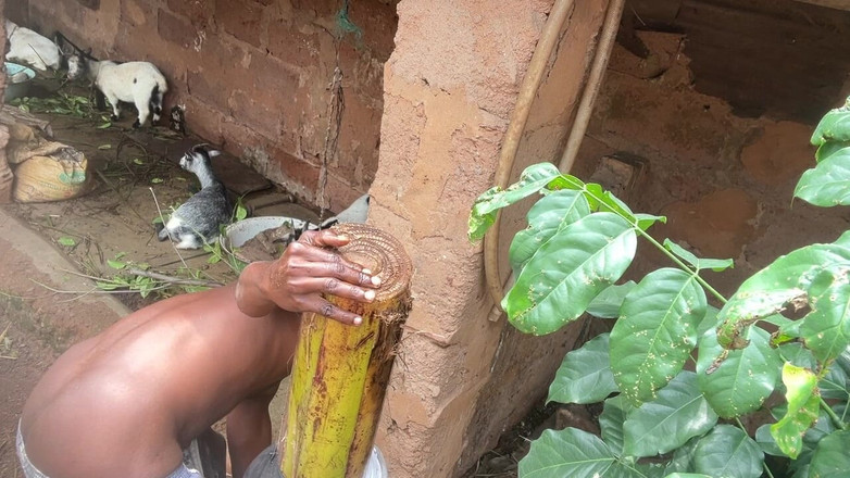 Bangcum8: 내가 혼자일 때 존나게 좋아해