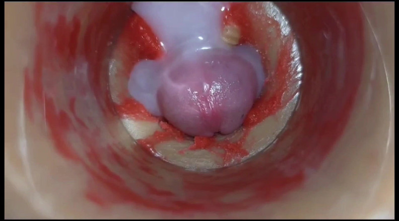 Creme sperm: Kompilasi memek crempie terbaik - kamera di dalam 4k