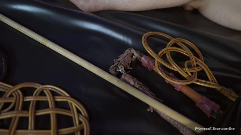 FemDorado: 鞭でお前を操る。