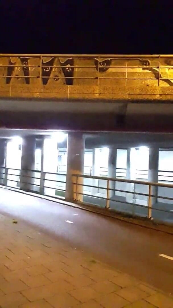 Slutboyben: Slutboyben cam4 pornoqueen s’exhibe en direct sur cam4