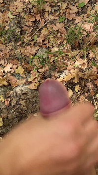 Cumshot in the Forest 4K