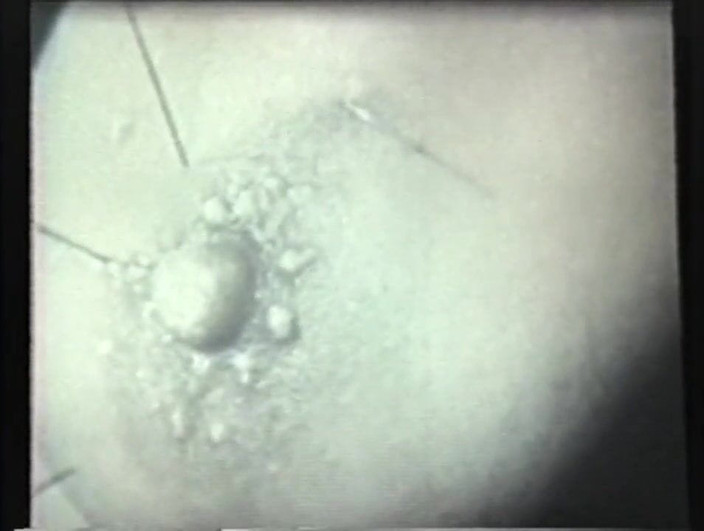 Vintage megastore: Oldscool - sex în trei cu robie cu lesbiene