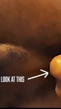 A Jerk & Show Teaser