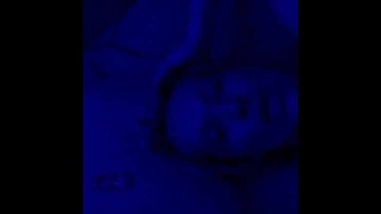 We the North Entertainment: Кессі Квінн мастурбує моїм членом