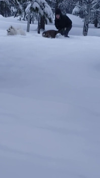 जब बर्फ पड़ जाती है तो आप क्या करते हैं