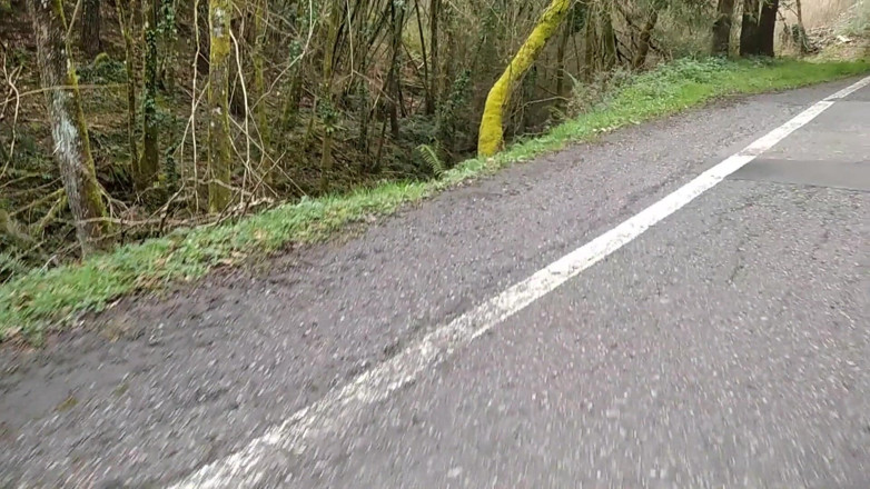 Elvissc: The Horny Stepfather Went on a Hike, When He Took...