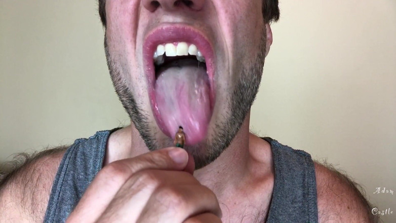 Adam Castle Solo: 자이언트 코치 아담 돔 수축 된 선수