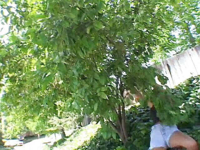 Xxx Auditions: 胖女孩的 BTS