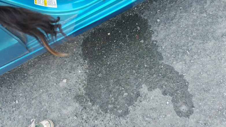 Nerdy_faery: Nerdy faery đi tiểu