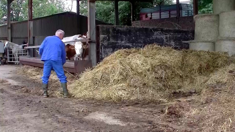 German Full Movies: 在他们的农场和谷仓里学习与饥渴的农民一起骑