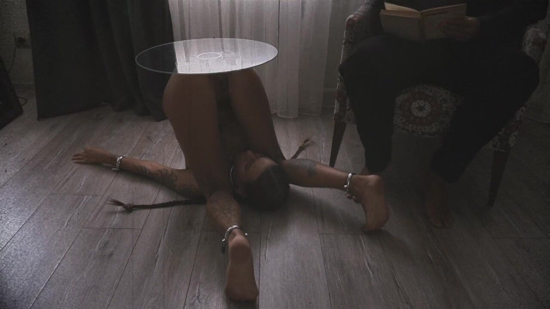 TenderRuin: Dossiers hors laboratoire / Journal des séances 21