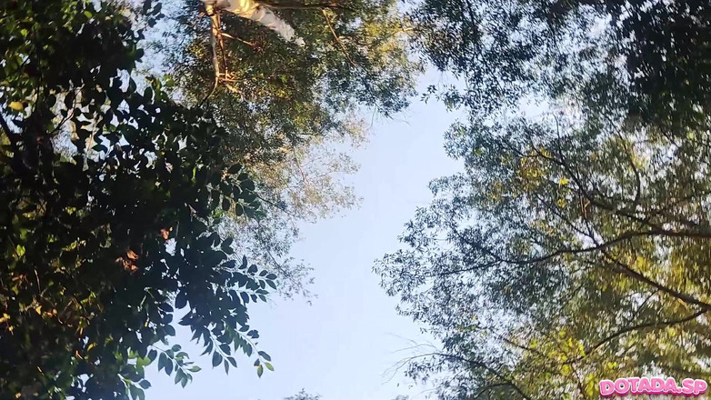 DOTADA.SP: Dans pervers park Frankrijk