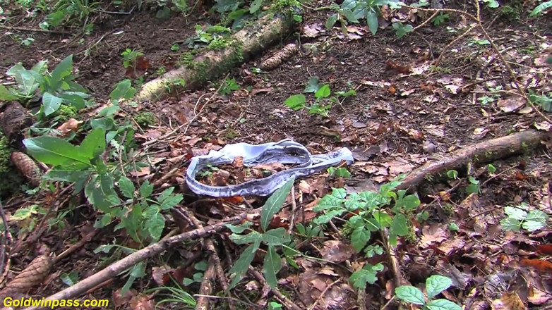 Goldwin pass: Hot chocolate skinny babe Nelly Black rough outdoor fucked in...