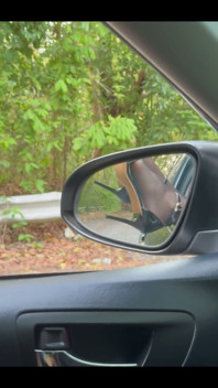 What Would You Like to Do in the Car with Me?