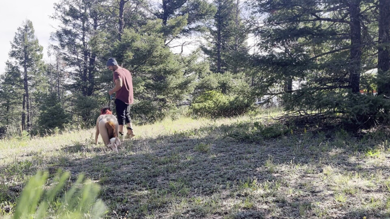 MYA Pleasure: A Fox in the Woods