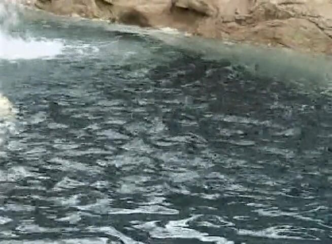 Black Jass: Awek eboni cantik dikongkek di tepi kolam
