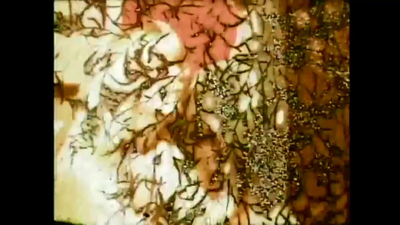 Vintage megastore: The Babies of Yesteryear with Hairy Pussy Fucked by Big...