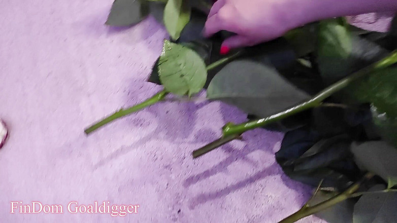 FinDom Goaldigger: Zwei romantische cuckolding-geschichten