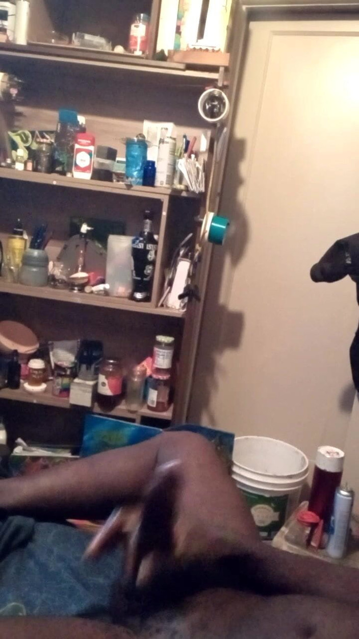 Paralax dawn: Paralax głaszcze swój długi Bbc